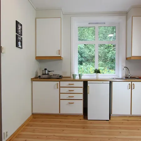 Slottet Aparthotel 3*